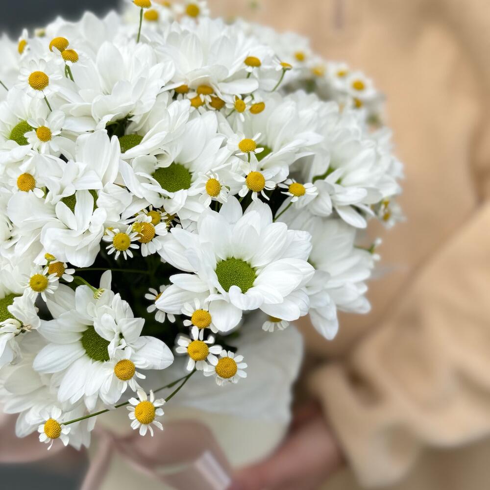 Коробка ромашек 🌼