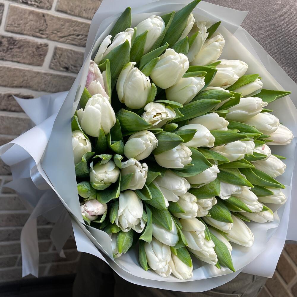 Белые тюльпаны🌷