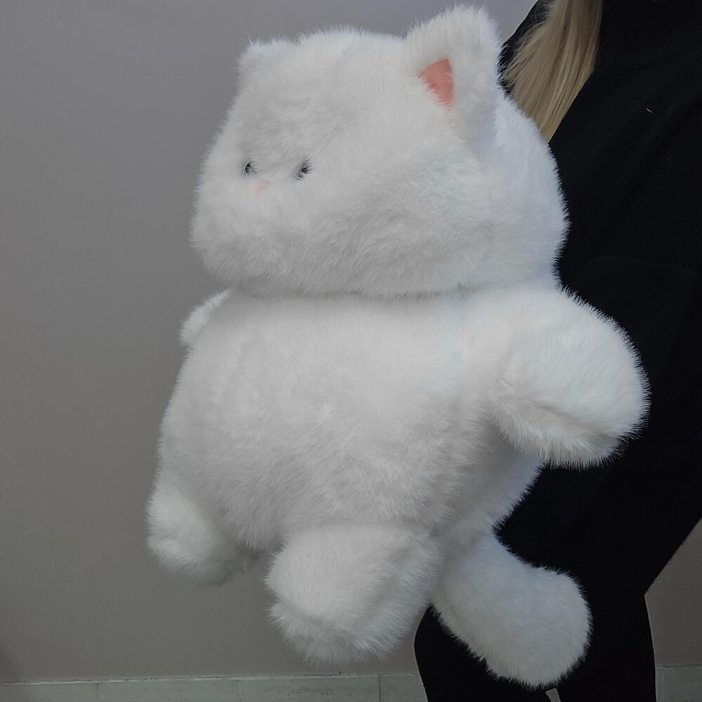 Толстый кот