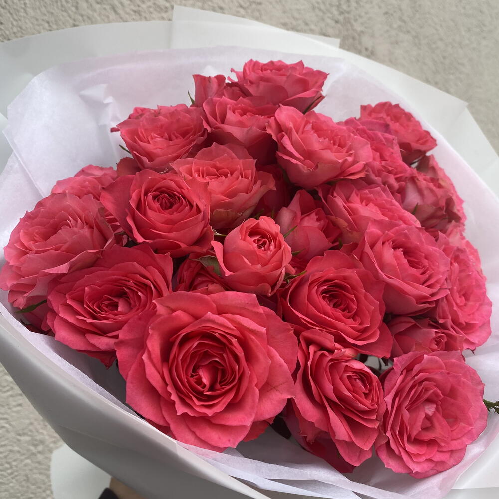 Rasberry kiss | Kenya rose