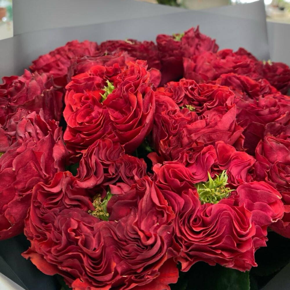 Эксклюзивные розы 🌹