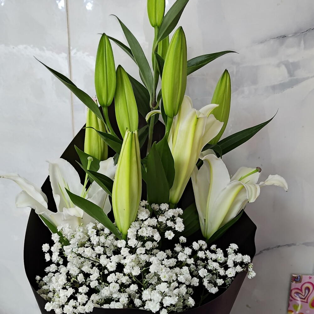 Lilies Grace