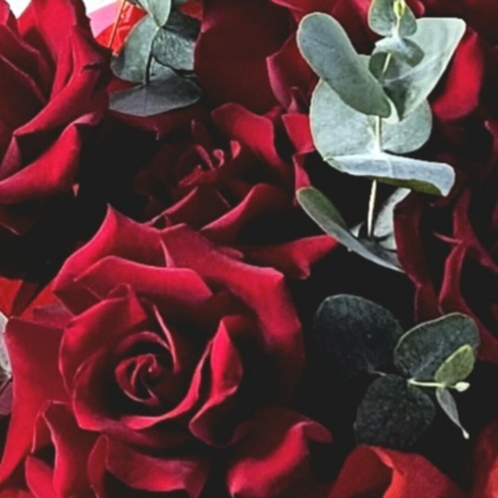 Red velvet. Size S. Monobucket of French roses with eucalyptus