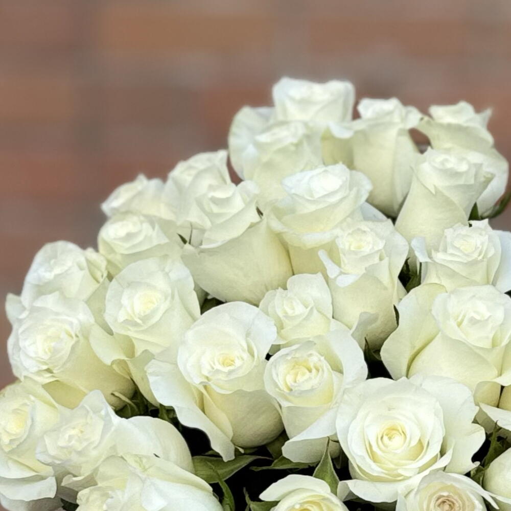 35 white roses with ribbon
