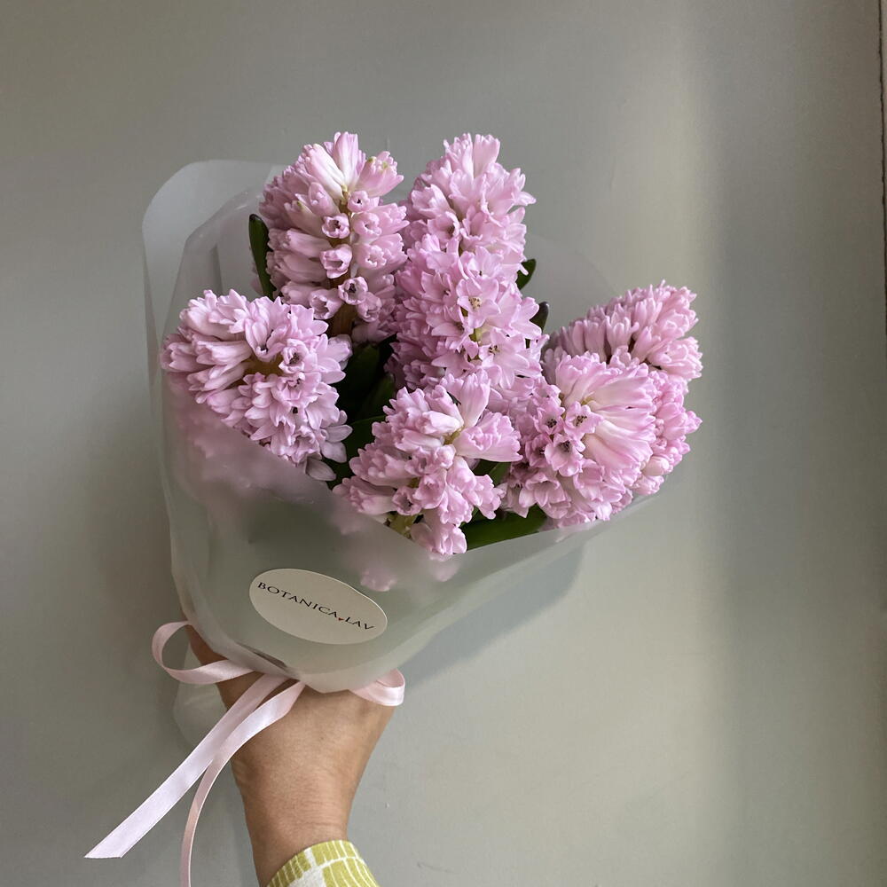 Гиацинты розовые 💗 букет из 9шт