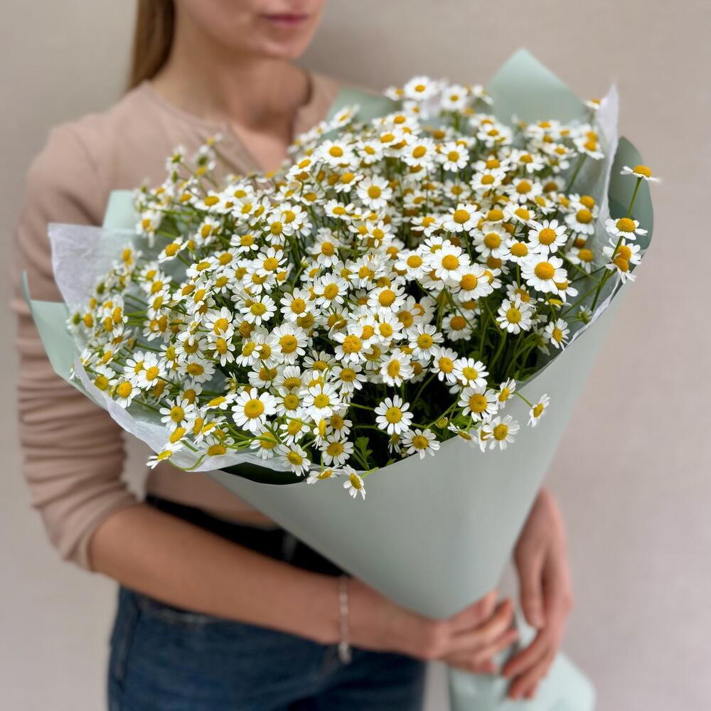 Ромашки кустовые в упаковке