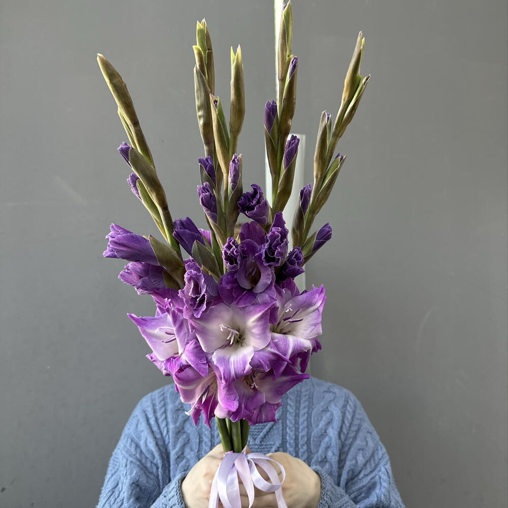 Гладиолусы 5 шт💜
