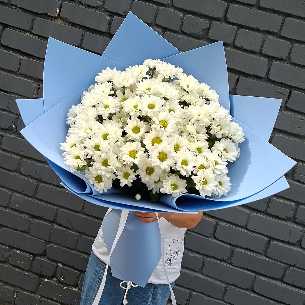 Ромашки в голубом