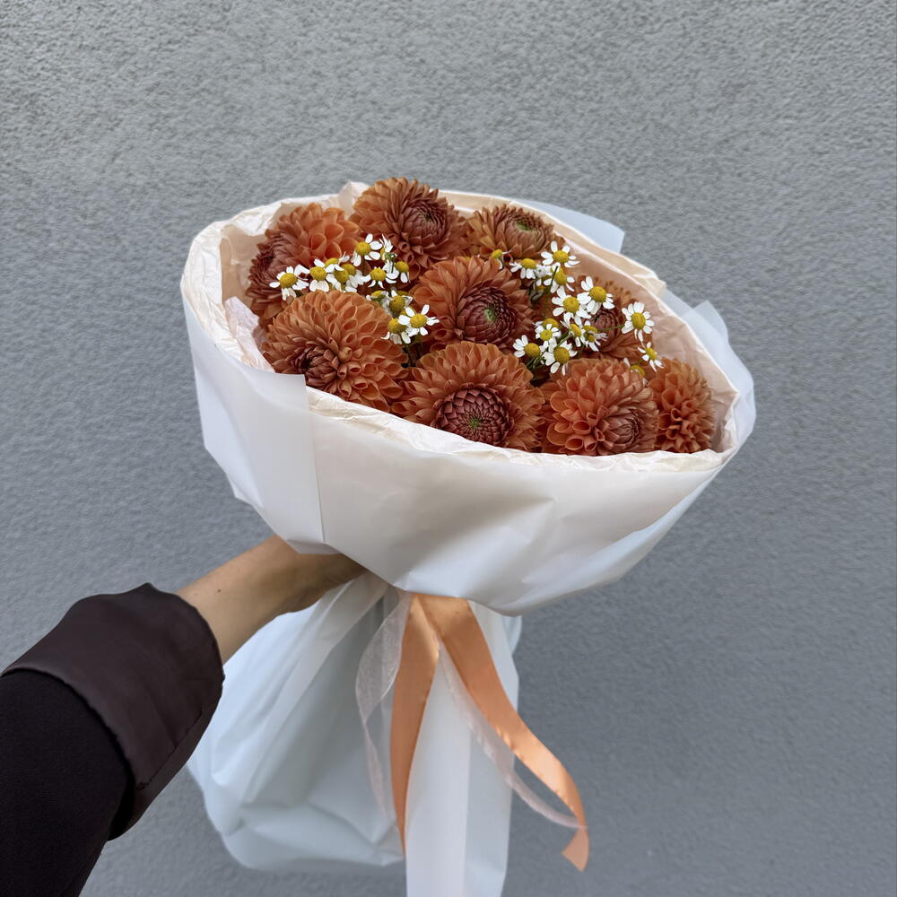 Георгины с ромашками