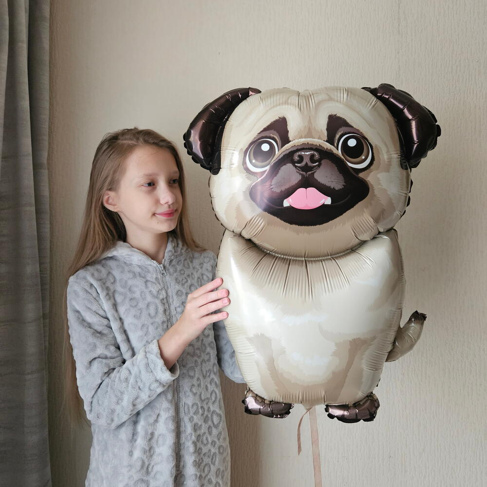 Шар собака, щенок мопс с гелием-1шар