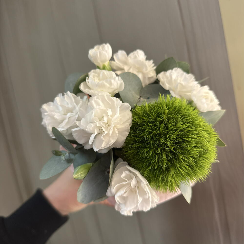 Комплимент 💚
