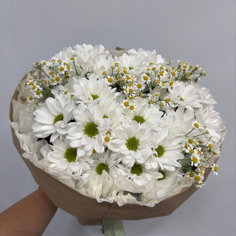 Ромашки