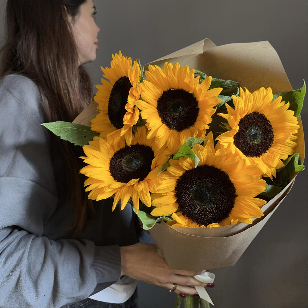 Подсолнухи 🌻