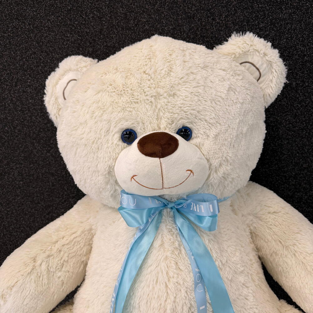 The big bear cub