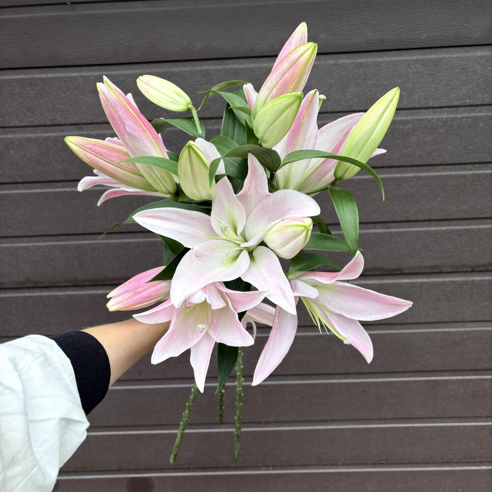 🌸 Элегантность в каждом лепестке: три розовые лилии, связанные лаконичной лентой