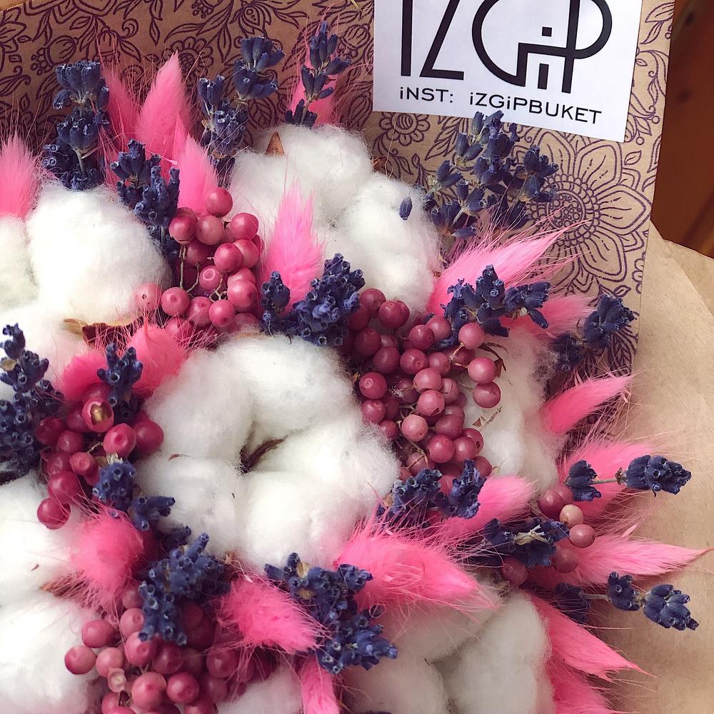 Cotton 3