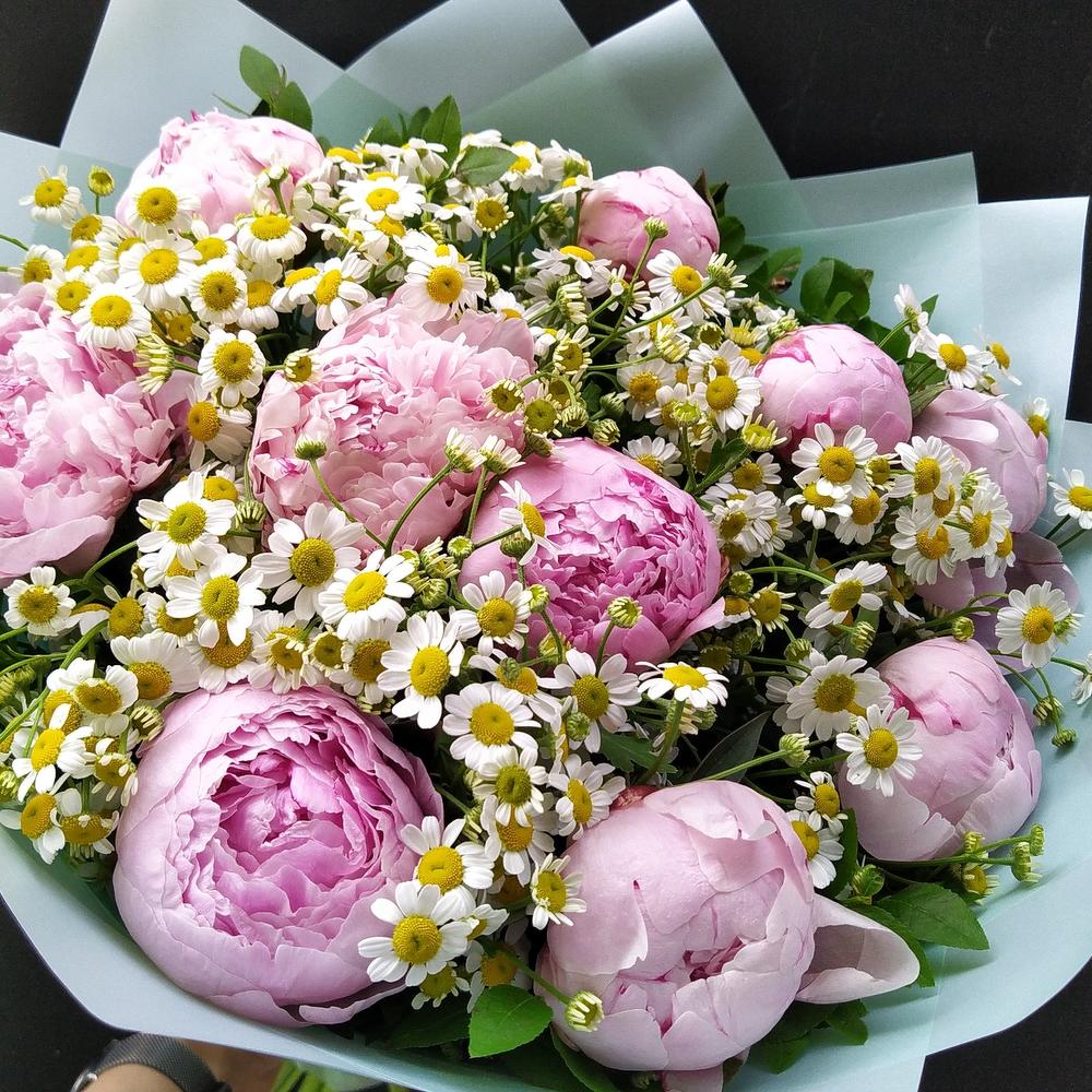 Primavera 💕