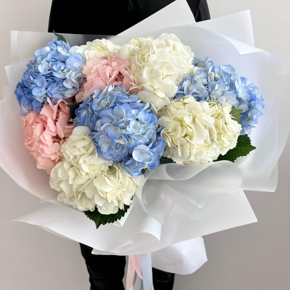 Гортензия  🌸😍
