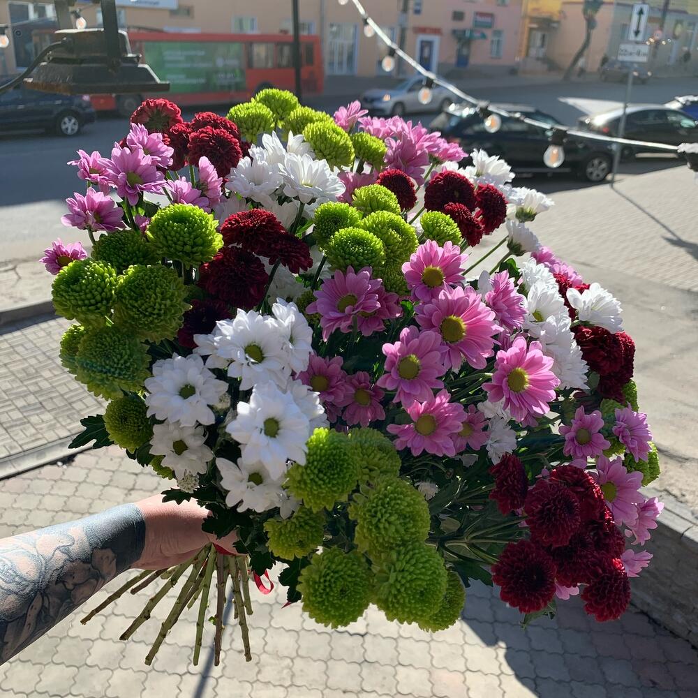 Поля сантини