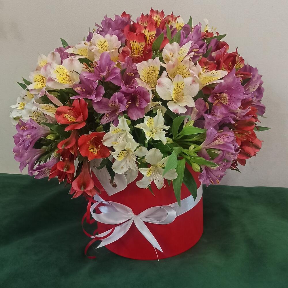 Коробка из цветных Альстромерий, Цветы и подарки в Волгограде, купить ...