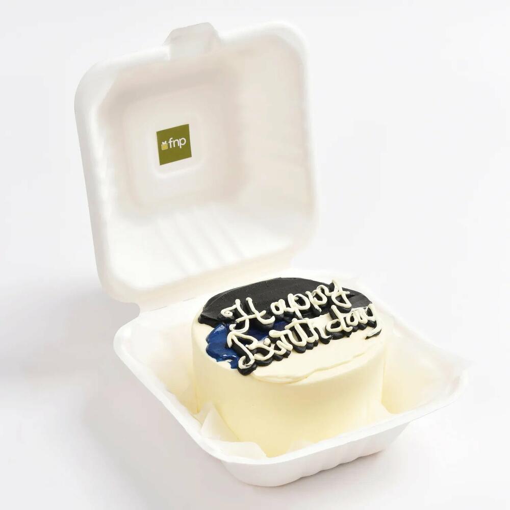 Bento Cake Box – Dasbi Supplies