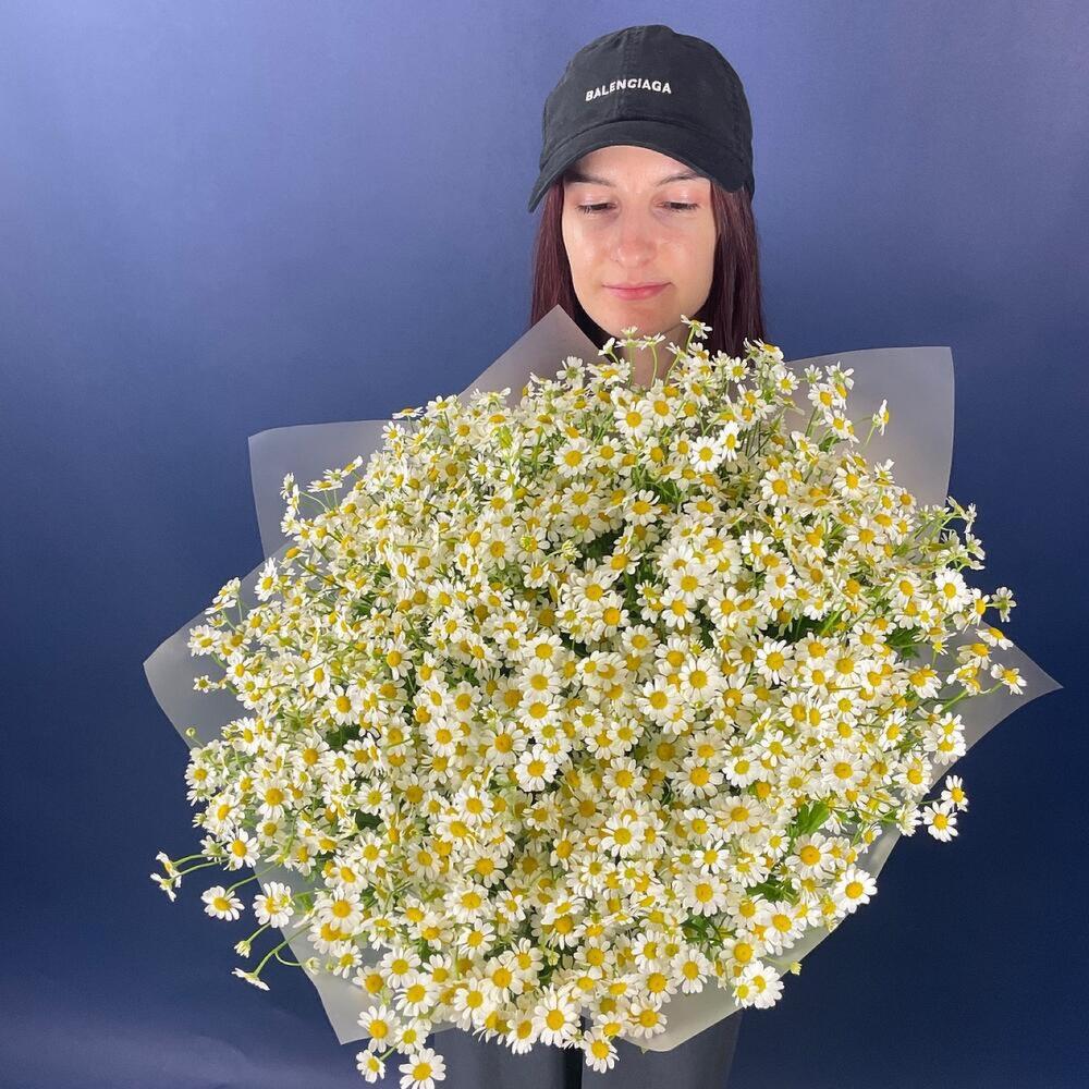 Танацетум