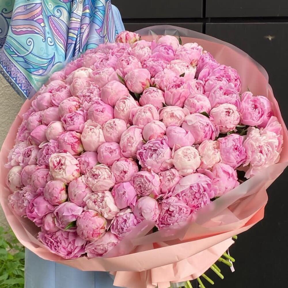 151 штук пионы Сара Бернар 😍