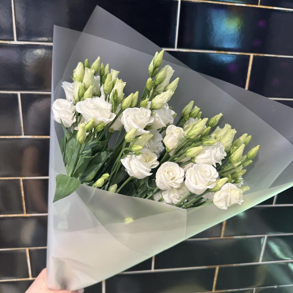Eustoma