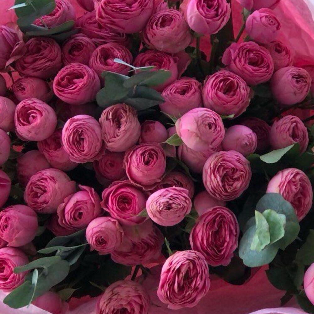 Букет Pink Boss из 15 кустовых роз сорта Жизель с эвкалиптом