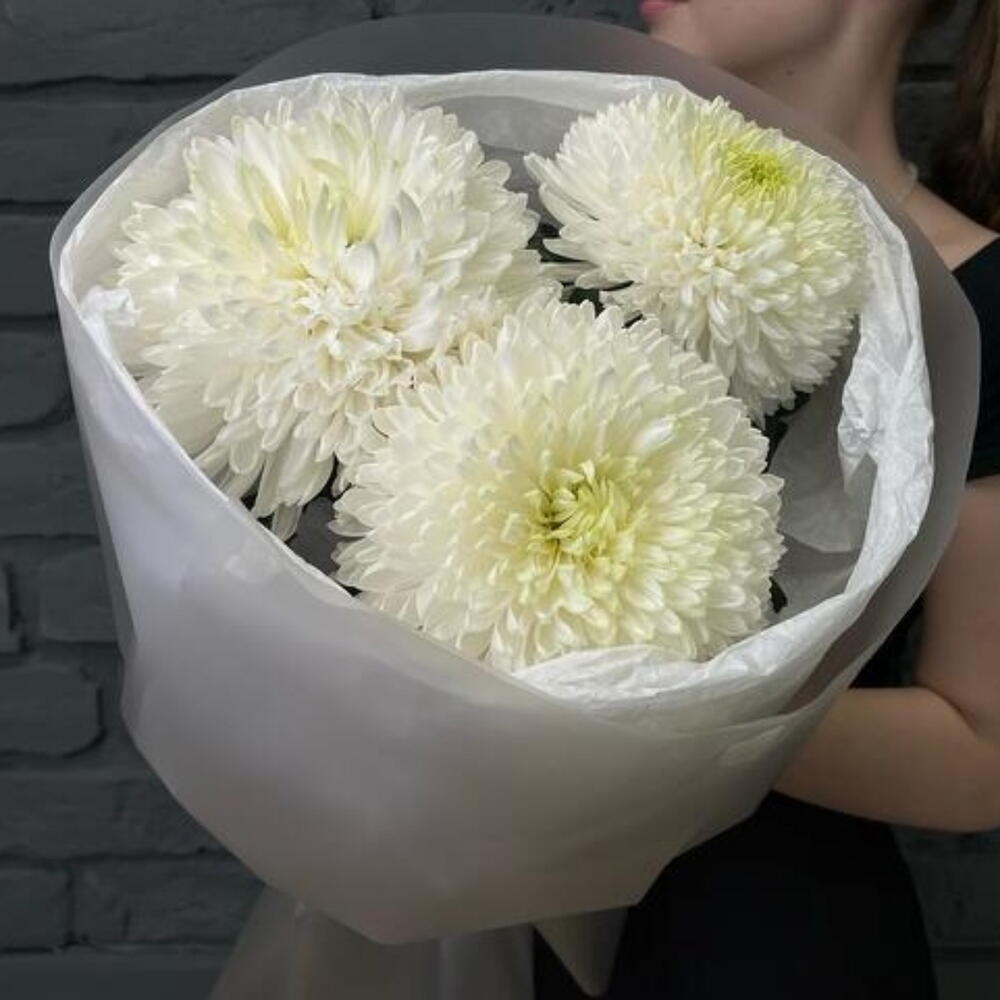 🌸 Букет: 3 одноголовые хризантемы
