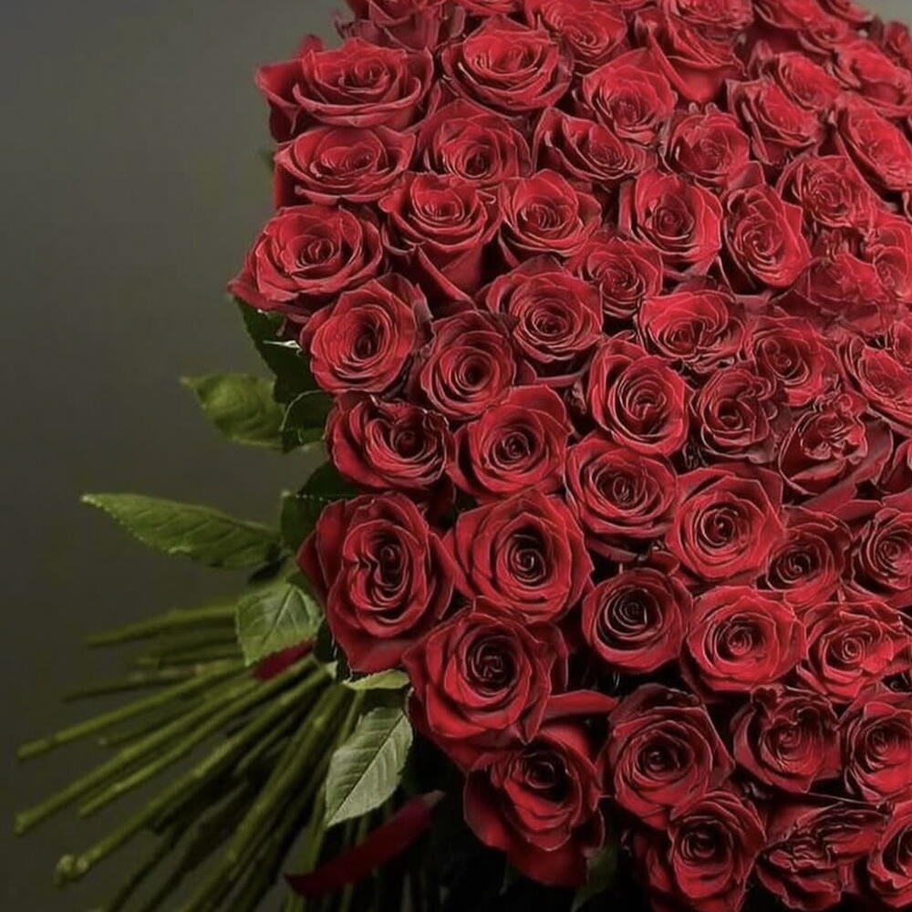 101 Голландская Роза 🌹