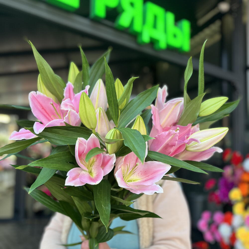 Розовая лилия 🌸🌸🌸