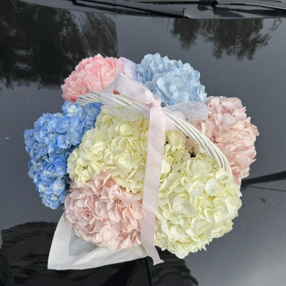 Basket with hydrangea M