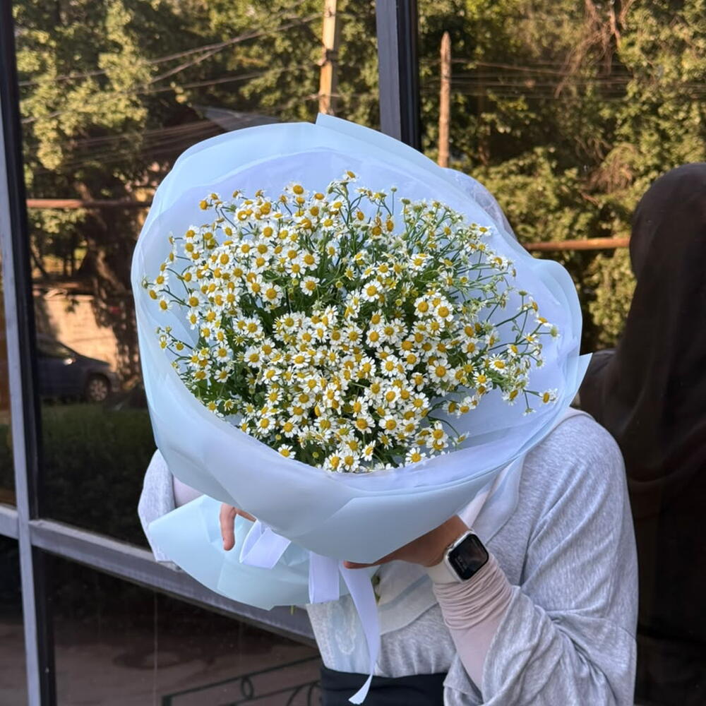 Chamomile Breeze