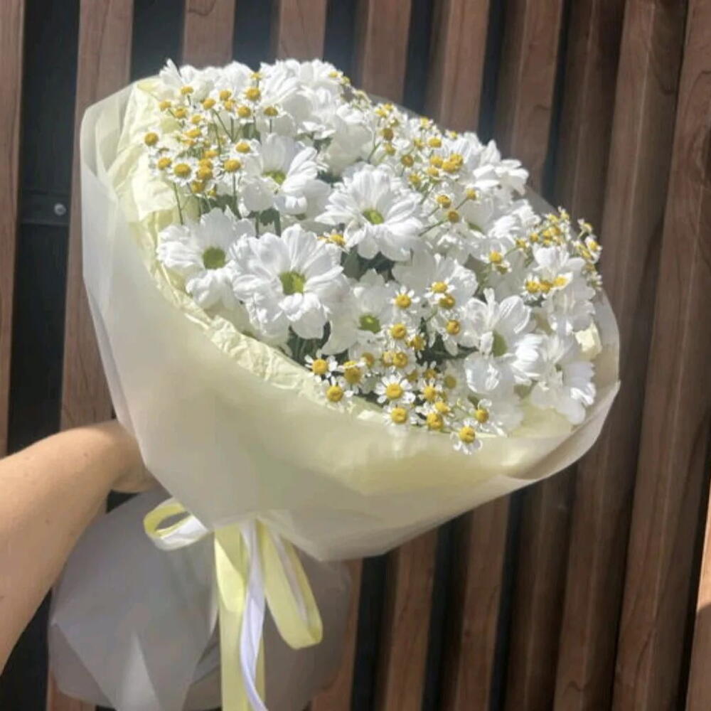 Ромашковое поле