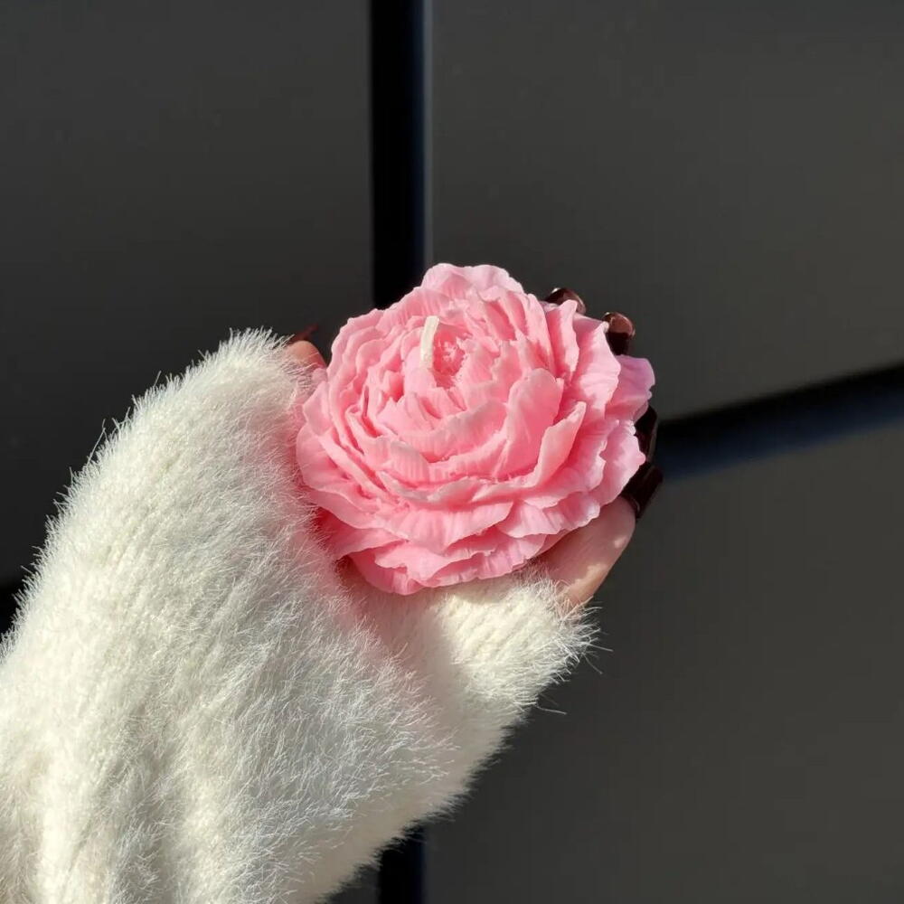 Сфеча пион🌸