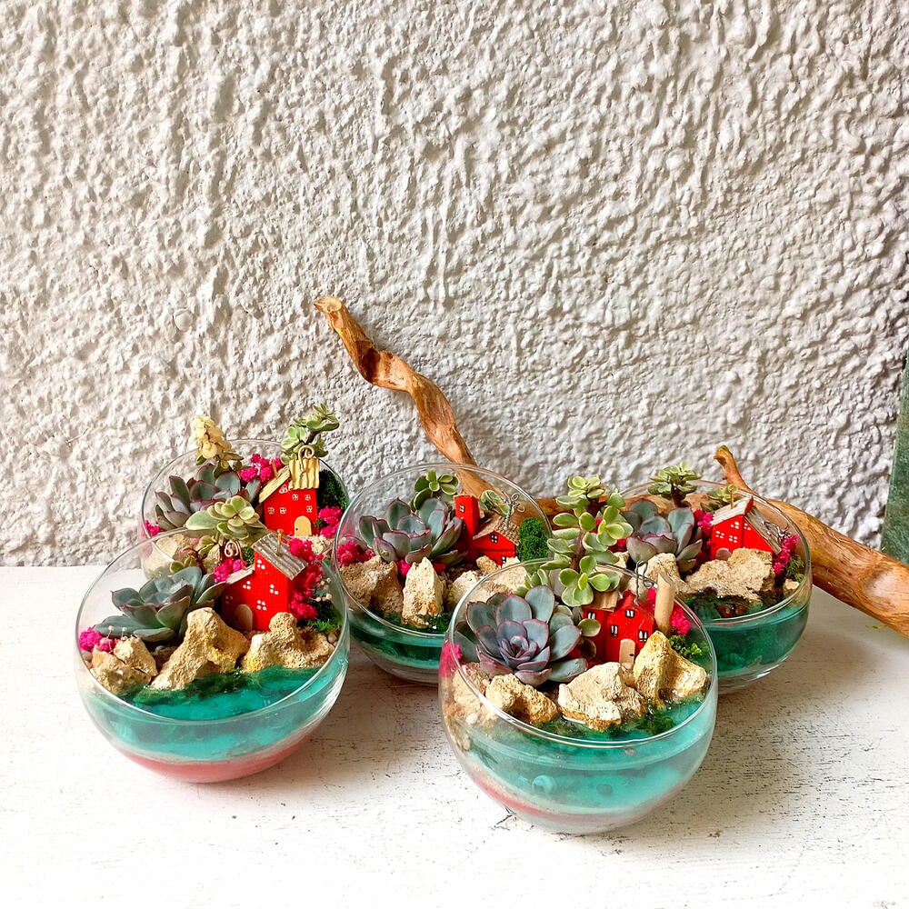 Florarium"Sueño"