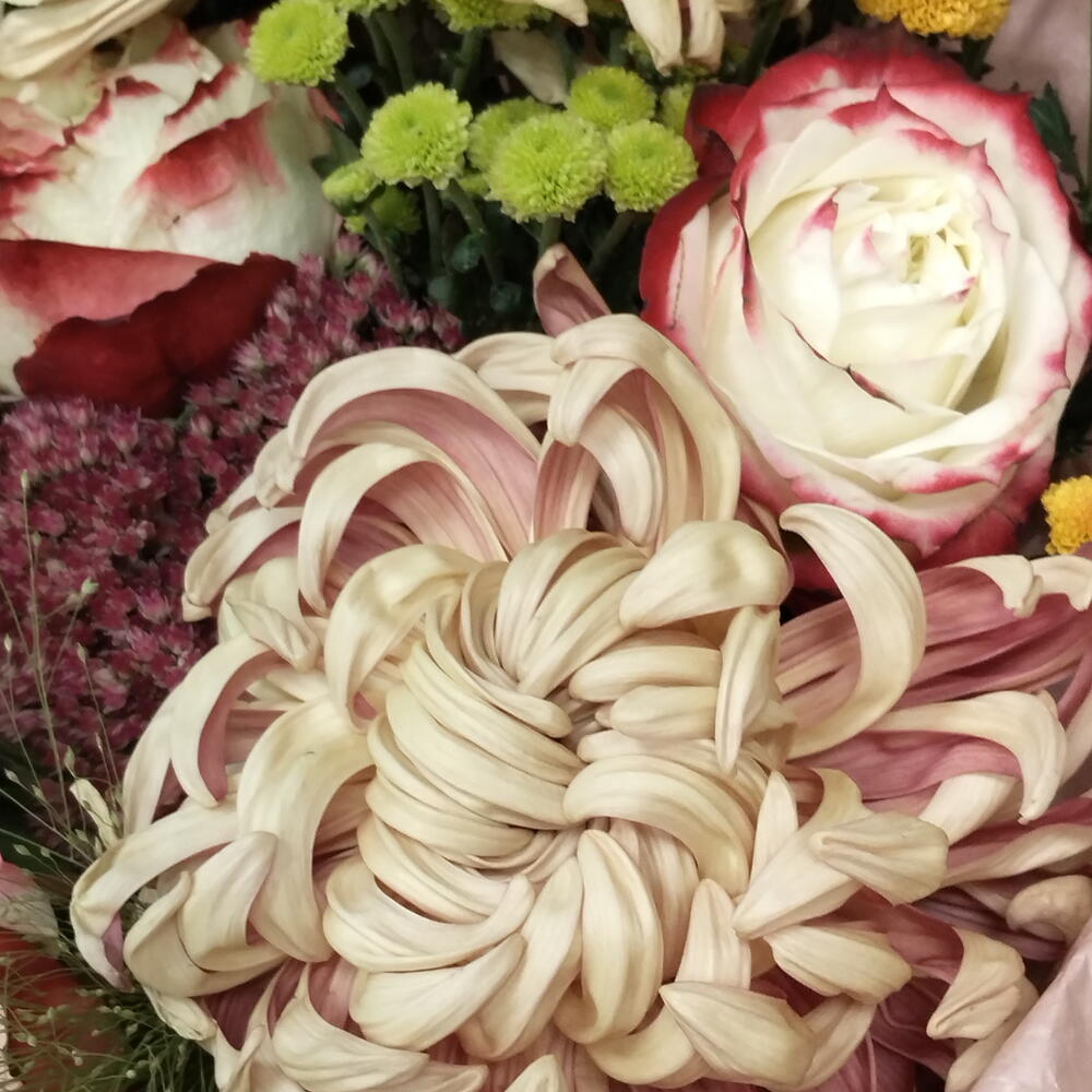 Утро в саду