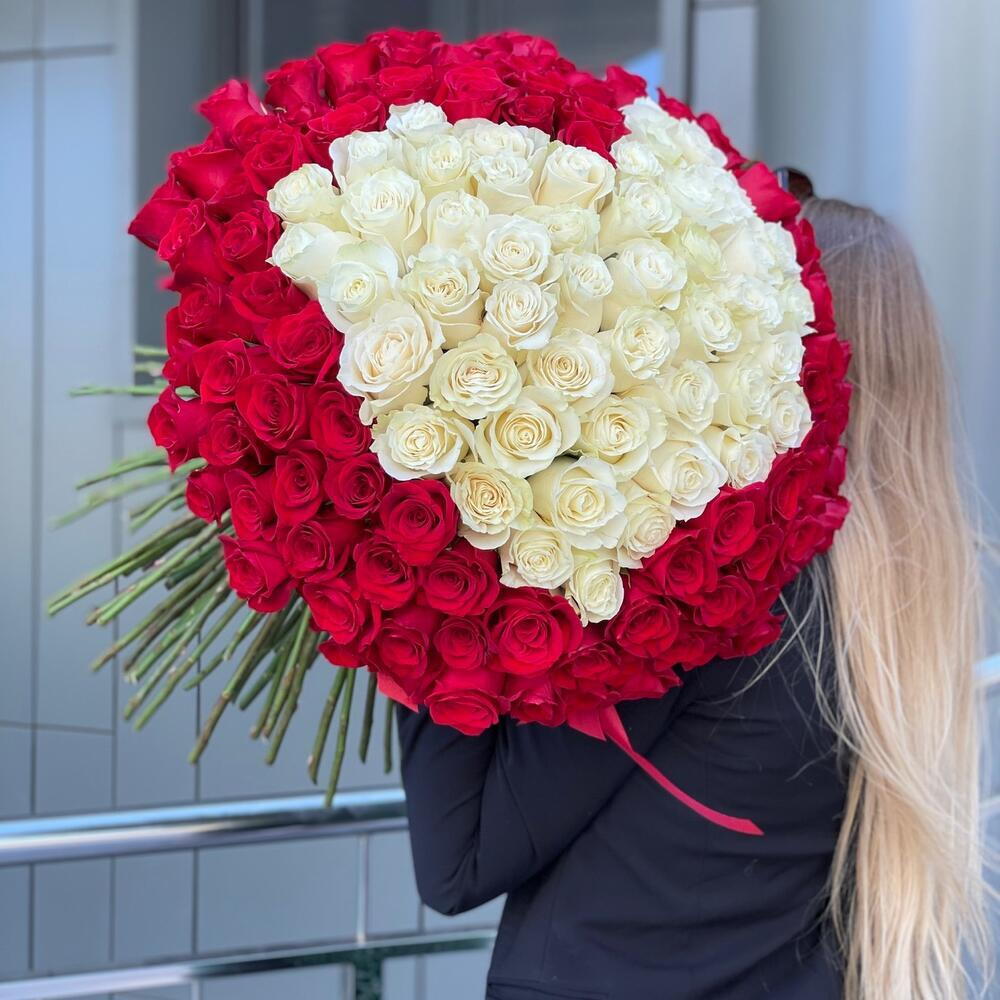 Bouquet of 151 white and red roses