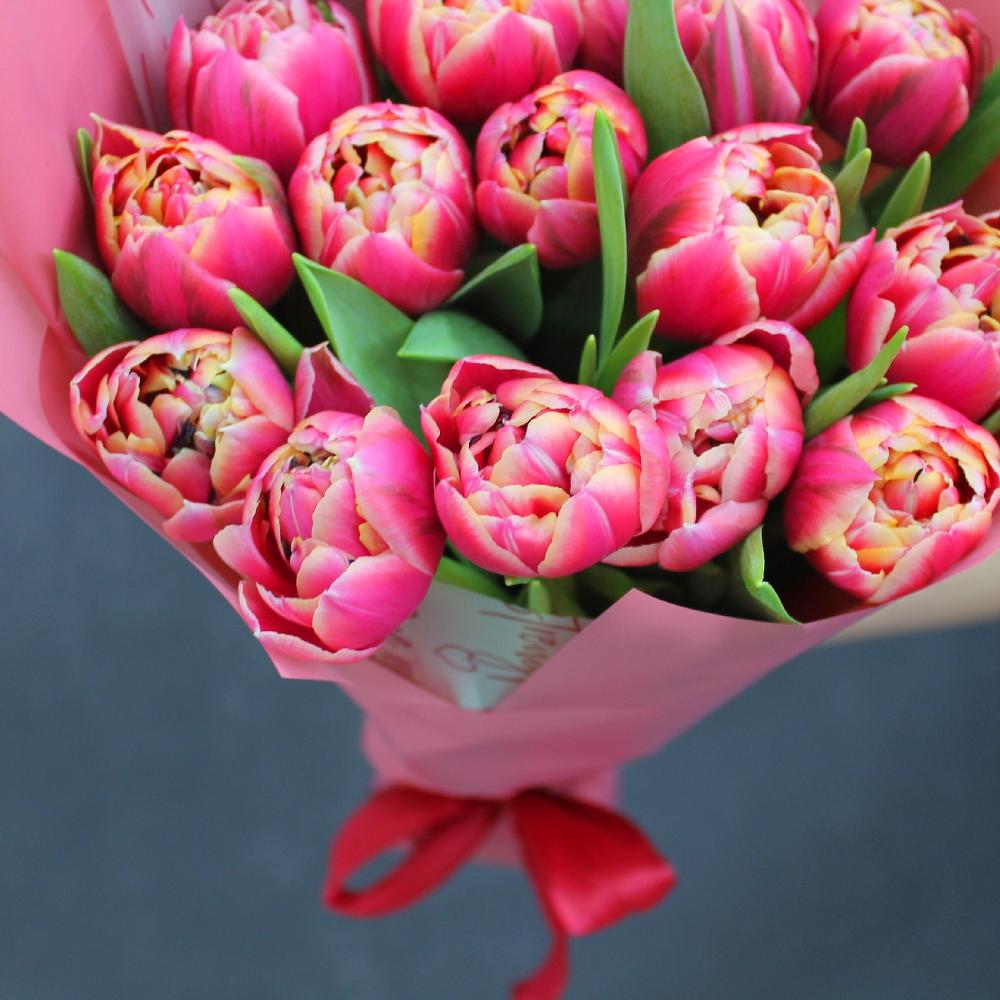 The first tulips