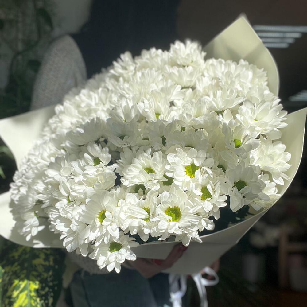Ромашковая хризантема