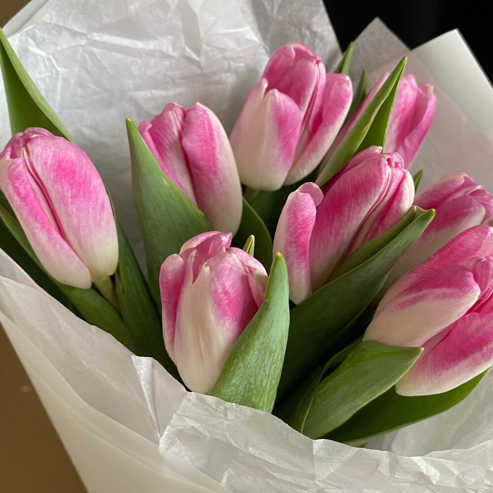 Моно букет Тюльпаны💕