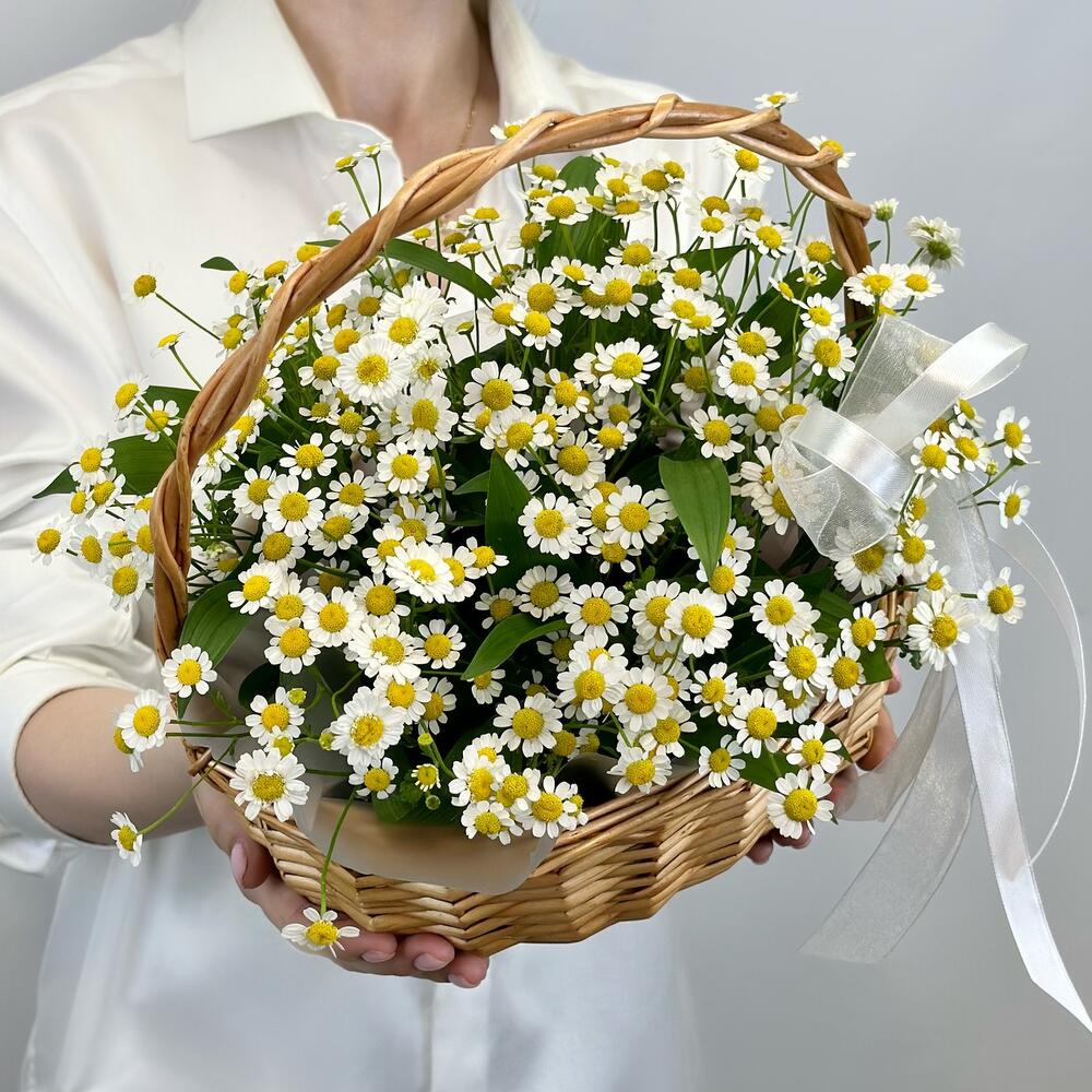 Корзина с ромашками К021