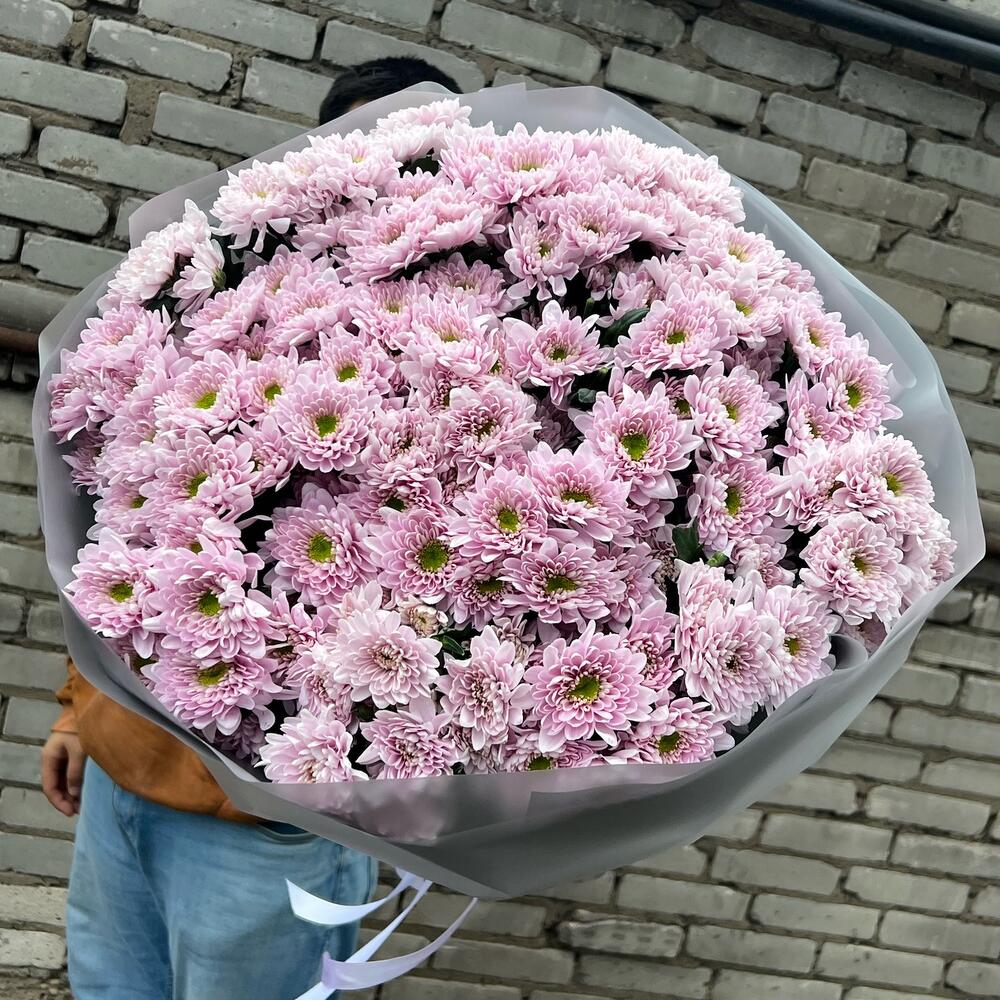 Хризантемы 🌸