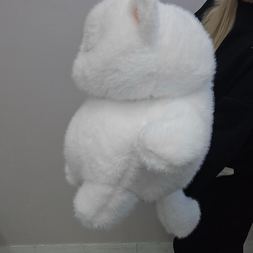 Толстый кот