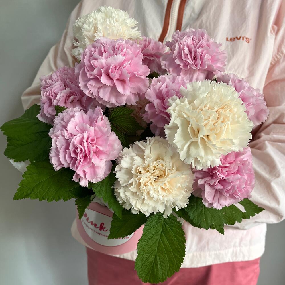 Самые нежные и ароматные диантусы стойкие с малиной 🌸