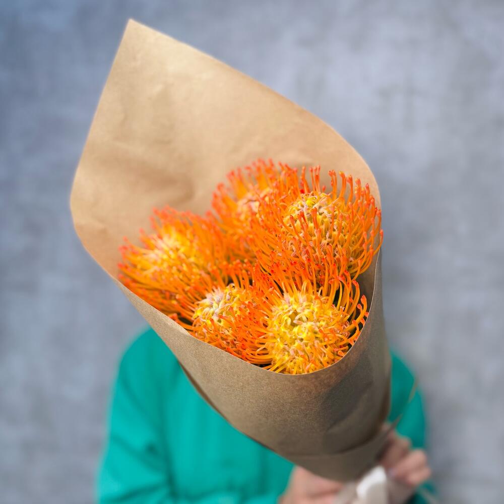Букет 💐 экзотики Протея яркая оранжевая 🧡🔥 нутан 🧡