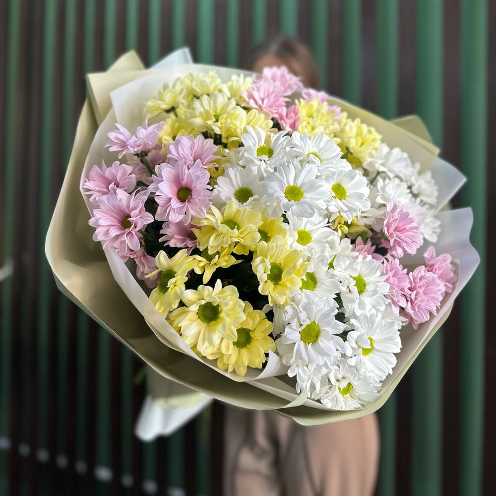 Микс кустовых хризантем (9)