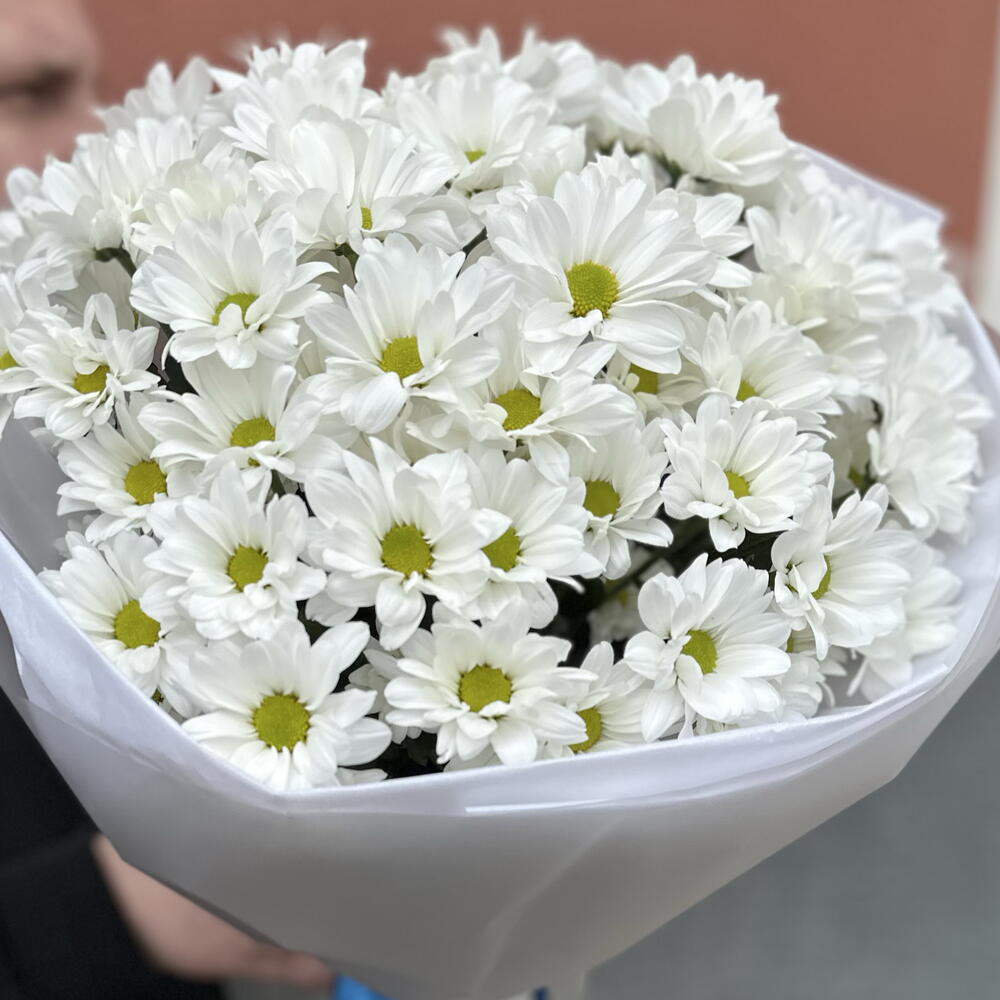 ~ 101 белая ромашка (9 веточек)