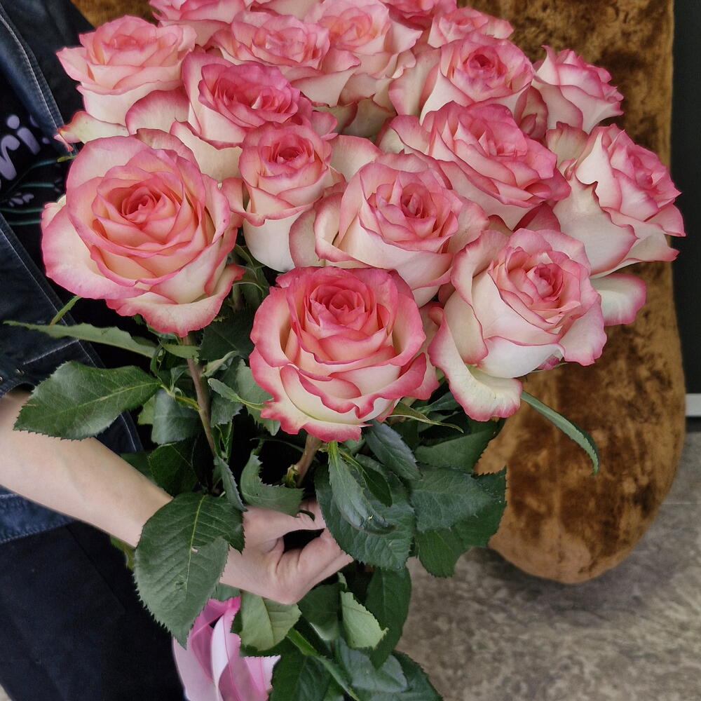 JUMILIA ROSES 25